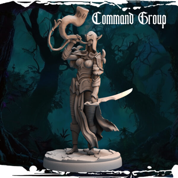 Elven Command Groups - obrazek 10