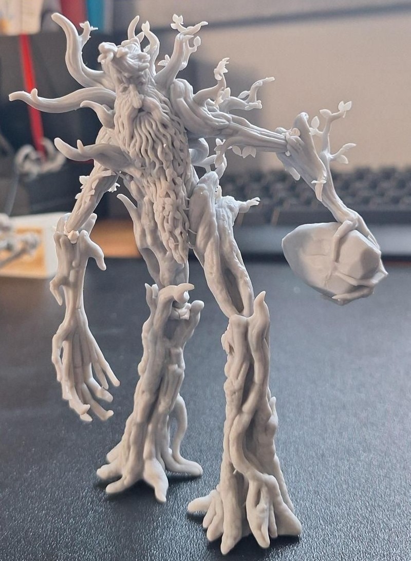 Ent - Skin Bark - obrazek 2